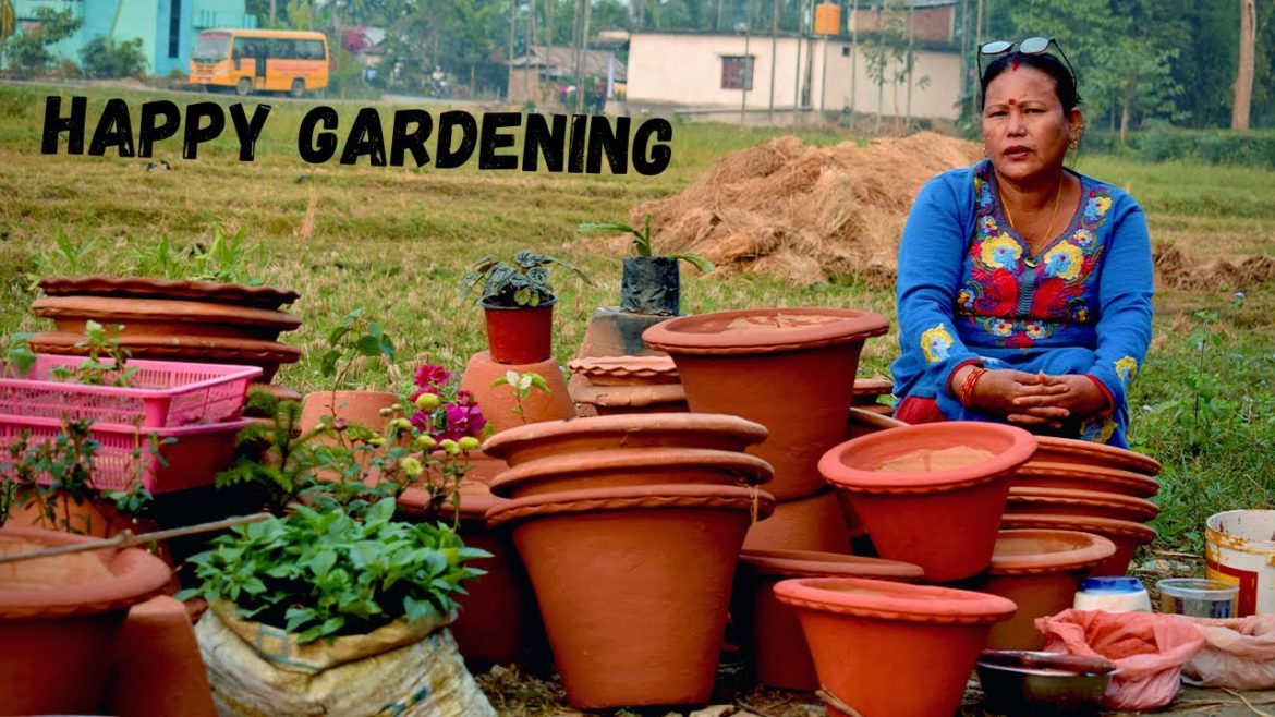 Flower Pot Painting Ideas For Winter Flower Plants I Plant Care in नेपाली I Nepali Garden Tips