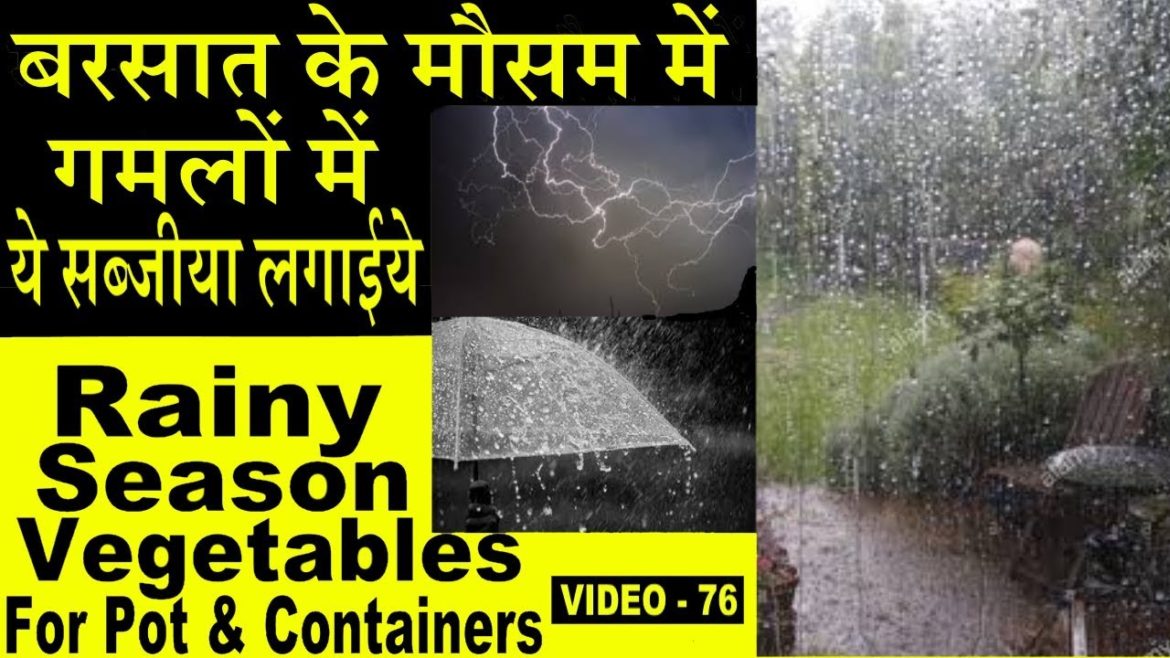 Vegetables for Container and Pot Gardening in Rainy Season