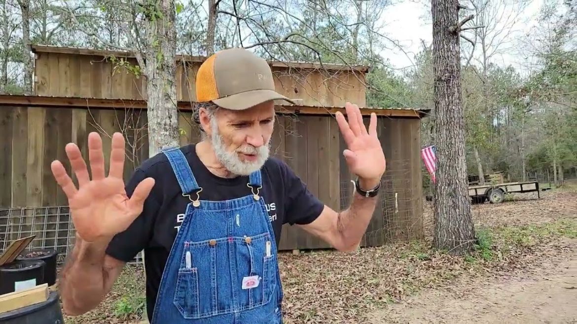 Cold Weather AHEAD?  Fertilizing Onions and Harvesting Peppers