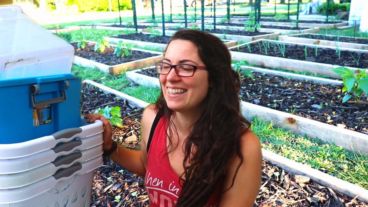 URBAN FRONT YARD GARDEN vs HAIL! | Homestead Dreaming