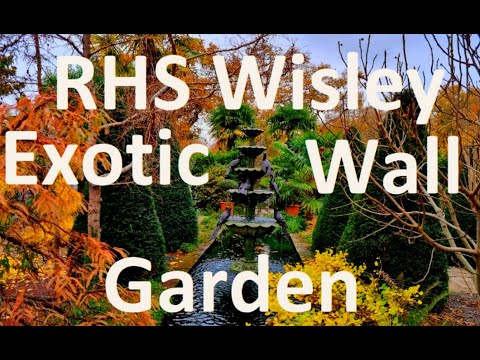 Tropical Gardens UK: Walled Exotic Garden, Wisley- December 2022 Tropical Gardens UK: Walled Exotic Garden, Wisley- December 2022