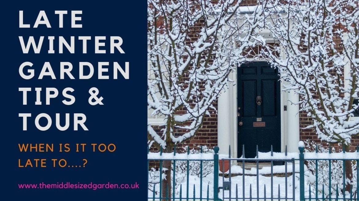 Late winter garden tips and tour… Late winter garden tips and tour...