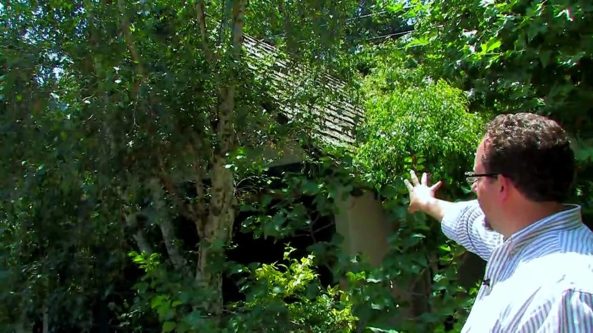 Professional Landscape and Garden Design Tips Professional Landscape and Garden Design Tips