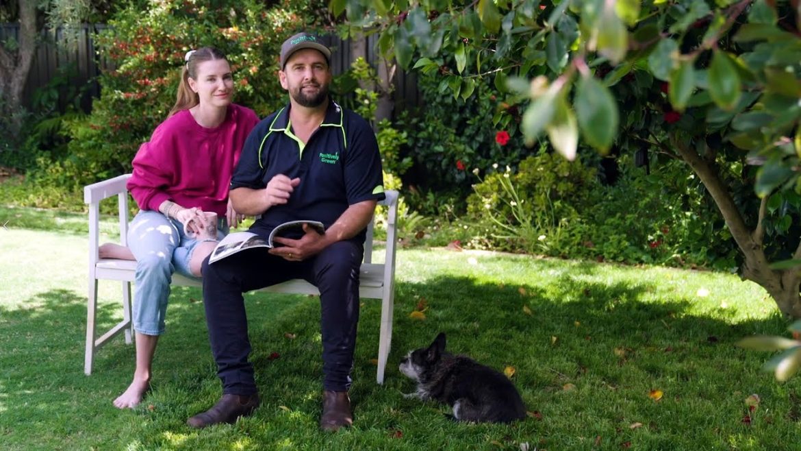 The Garden Gurus - Best Lawn Care Tips for Christmas