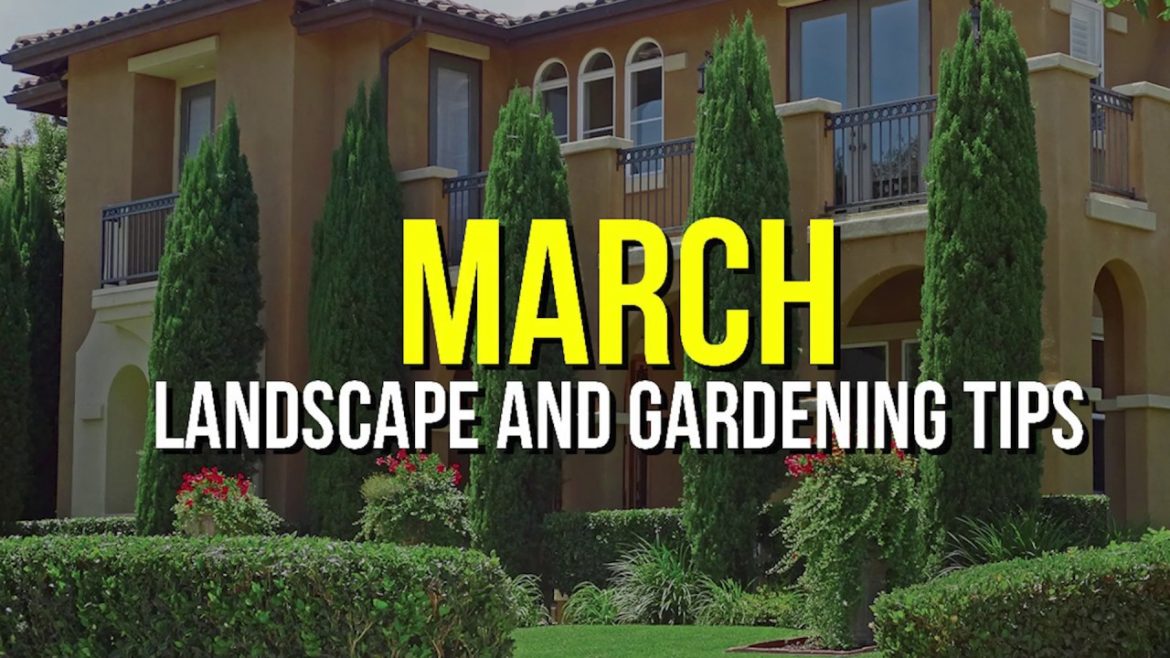 March Landscape and Garden Tips March Landscape and Garden Tips