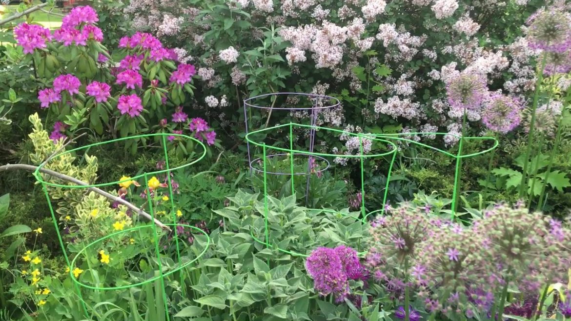 Urban Cottage Garden Moment | More Purple Delight | Shades of purple - Garden design