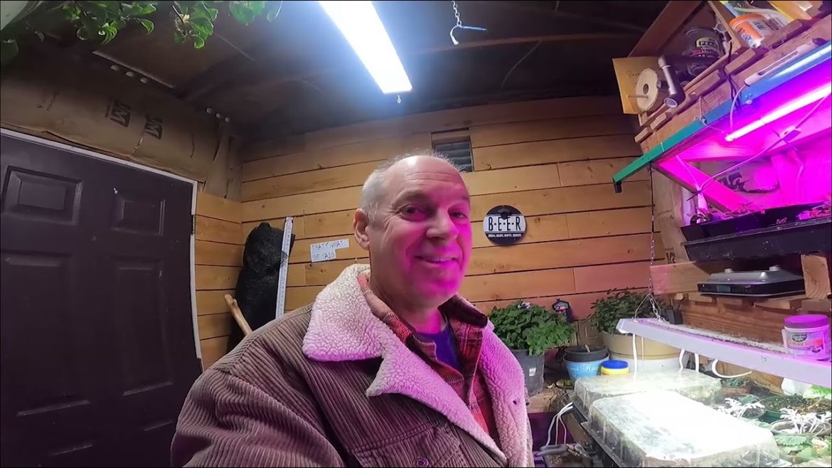 What equipment I use to propagate plants in the winter What equipment I use to propagate plants in the winter