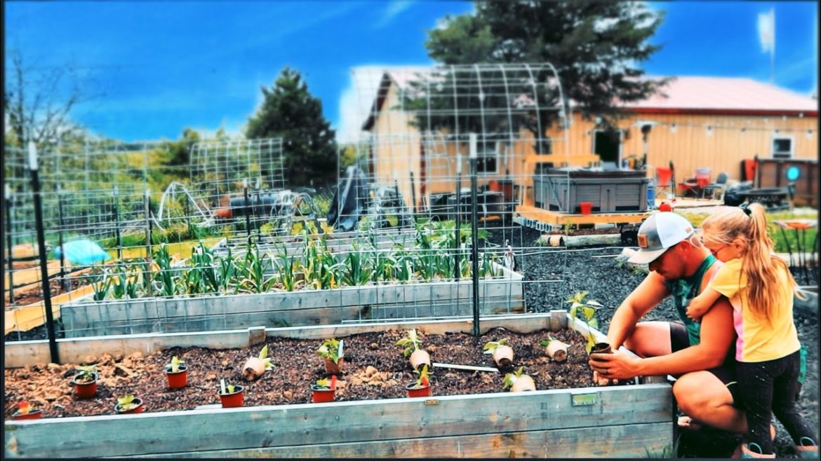 Planting Our Backyard Garden | Plant With Me Planting Our Backyard Garden | Plant With Me