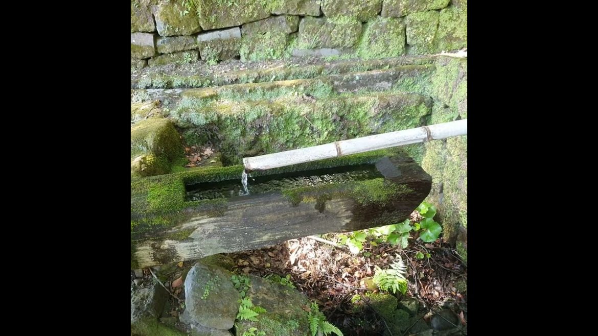 Amazing Water Clock in a 400 years Japanese Garden
