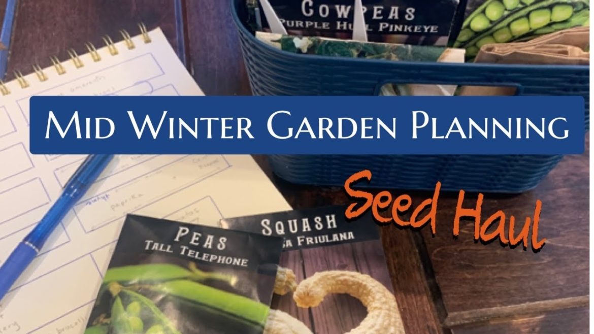 Mid Winter Garden Planning
