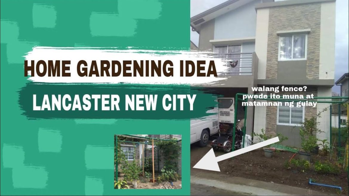 HOME GARDENING IDEA | LANCASTER NEW CITY | RAMNRUH DIARIES