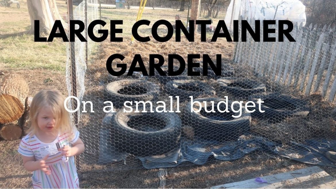 Large Container Garden Build (Part 2)