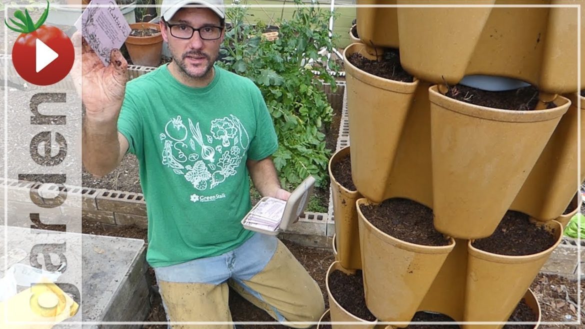 Gardening In Small Spaces – Greenstalk Vertical Vegetable Gardening! Strawberries, Carrots, Lettuce Gardening In Small Spaces - Greenstalk Vertical Vegetable Gardening! Strawberries, Carrots, Lettuce