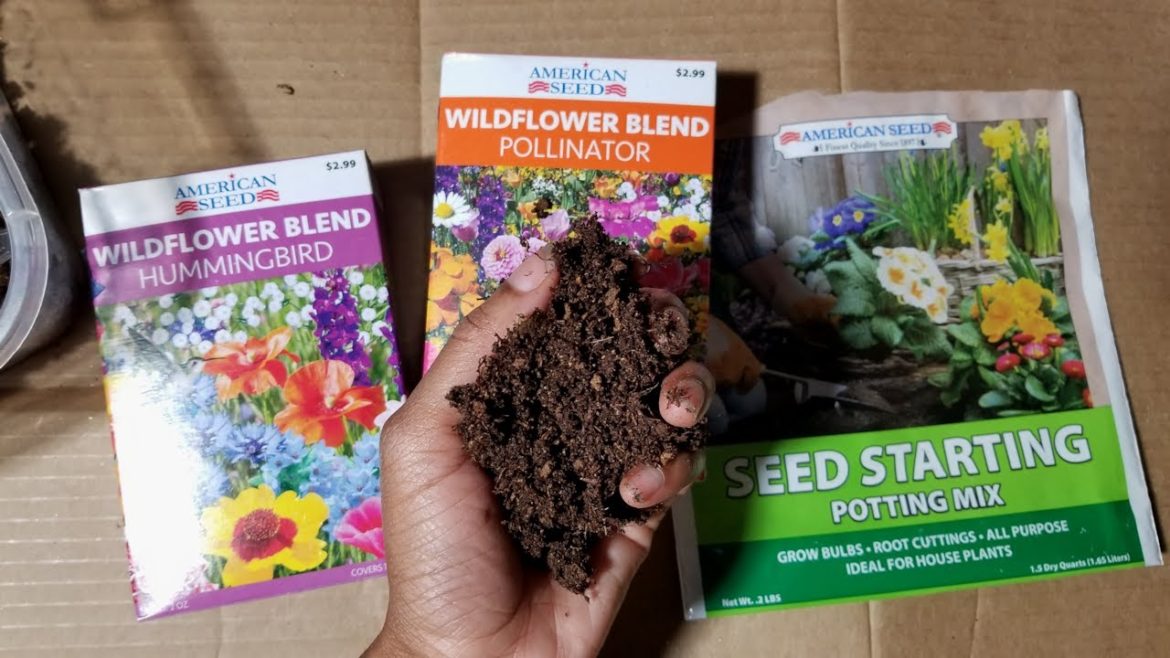 Watch Before You Buy Dollar Tree Gardening Items: Seed Starting Potting Mix and Wildflower Blend Watch Before You Buy Dollar Tree Gardening Items: Seed Starting Potting Mix and Wildflower Blend