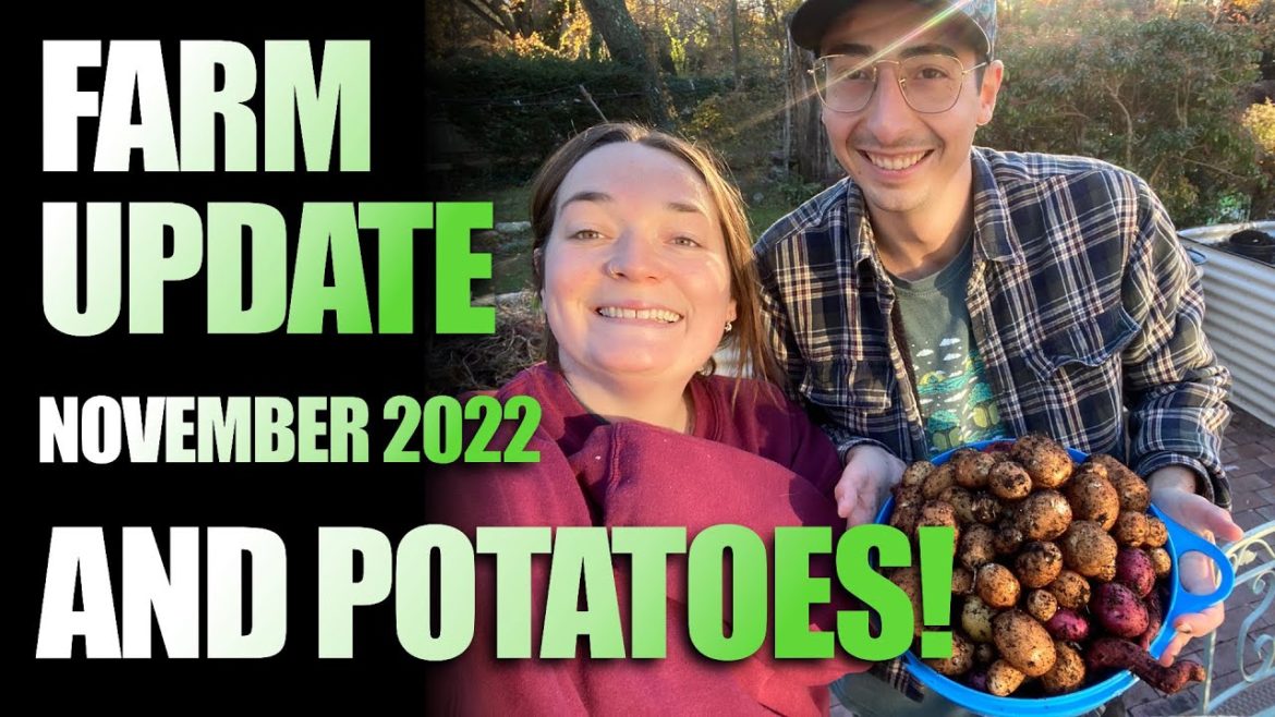 November Farm Update With Donny Greens (AND POTATOES)