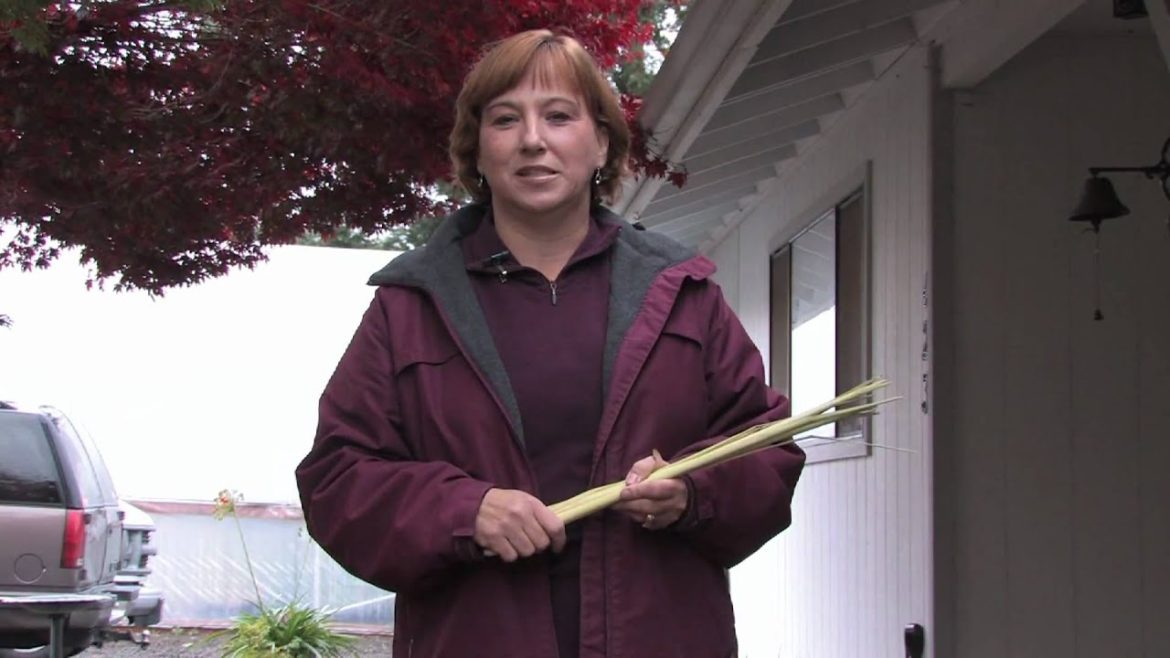 Gardening Tips : Best Ways to Repel Mosquitoes Gardening Tips : Best Ways to Repel Mosquitoes