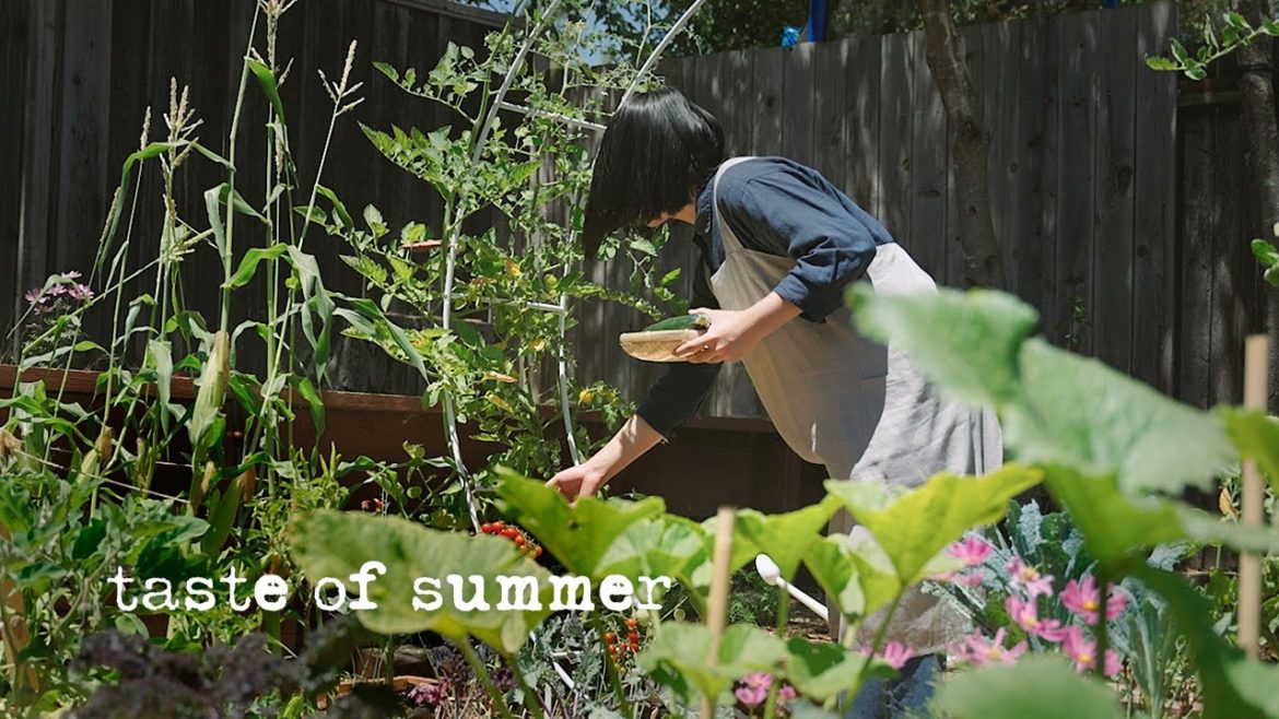 Taste of Summer｜Backyard Garden Work & Harvest｜Asian Zucchini Noodles