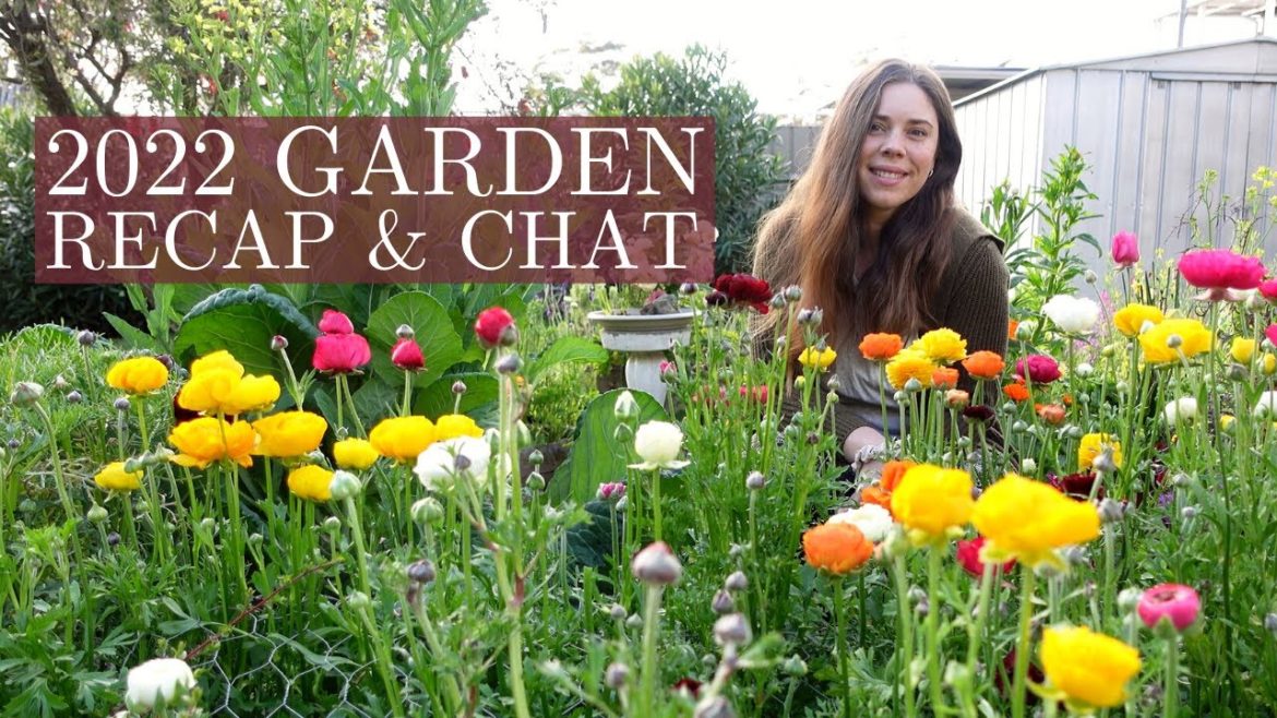 End of Year LIVE Chat 🎄 Reflecting on Our First Year Gardening in NSW | Vlogmas Day 18