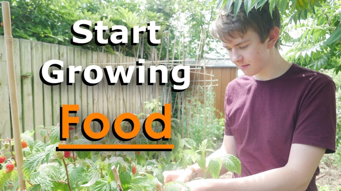 How To Start Growing Your Own Food | Vegetable Gardening Tips