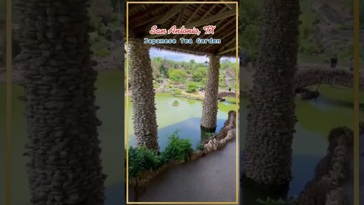 Japanese Tea Garden Sightseeing San Antonio Tx #shorts #travel