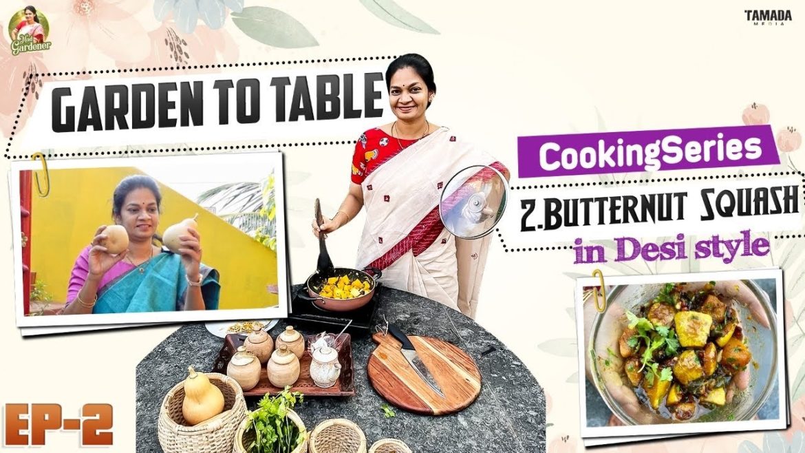 విదేశీ బట్టెర్ణుట్ స్క్వాష్ మన దేశీ స్టైల్ లో | Garden to Table Series | Ep -2 @MADGARDENER విదేశీ బట్టెర్ణుట్ స్క్వాష్ మన దేశీ స్టైల్ లో | Garden to Table Series | Ep -2 @MADGARDENER