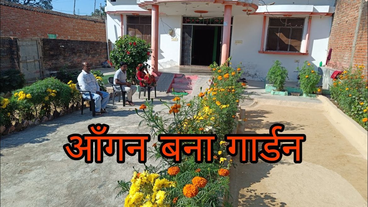 Low care front garden