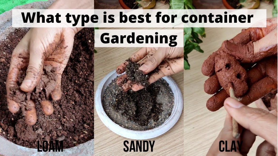 What type of soil is best for container gardening| Ideal potting mix for container gardening What type of soil is best for container gardening| Ideal potting mix for container gardening