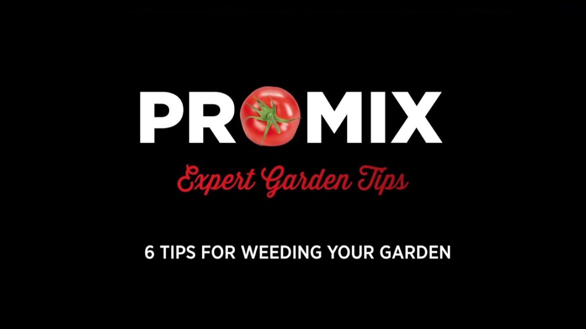 PRO-MIX Expert Garden Tips: 6 tips for weeding your garden