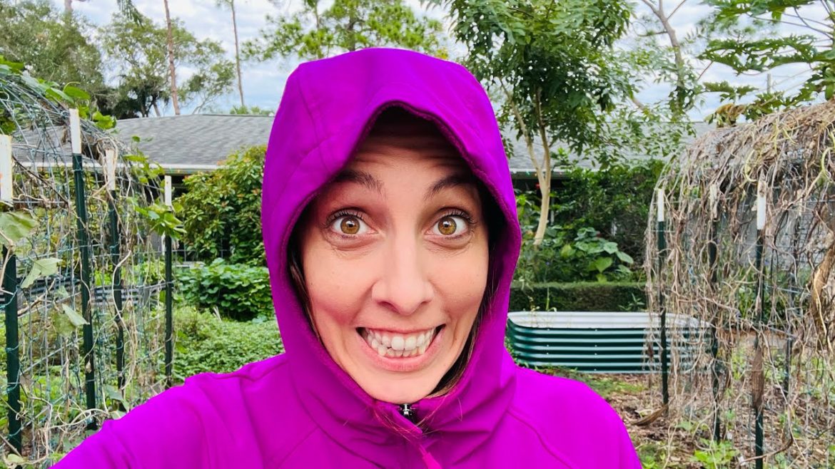 Garden Prep for Freezing Temps: How to Protect Your Plants Garden Prep for Freezing Temps: How to Protect Your Plants