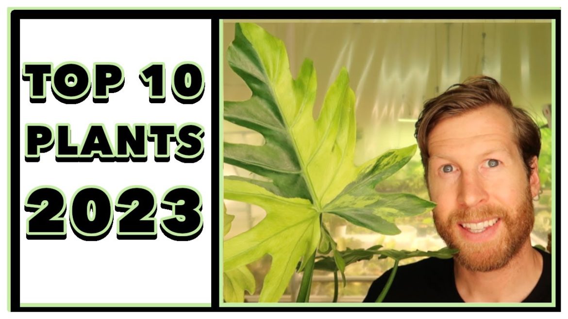 RARE Plants for 2023 - TOP 10