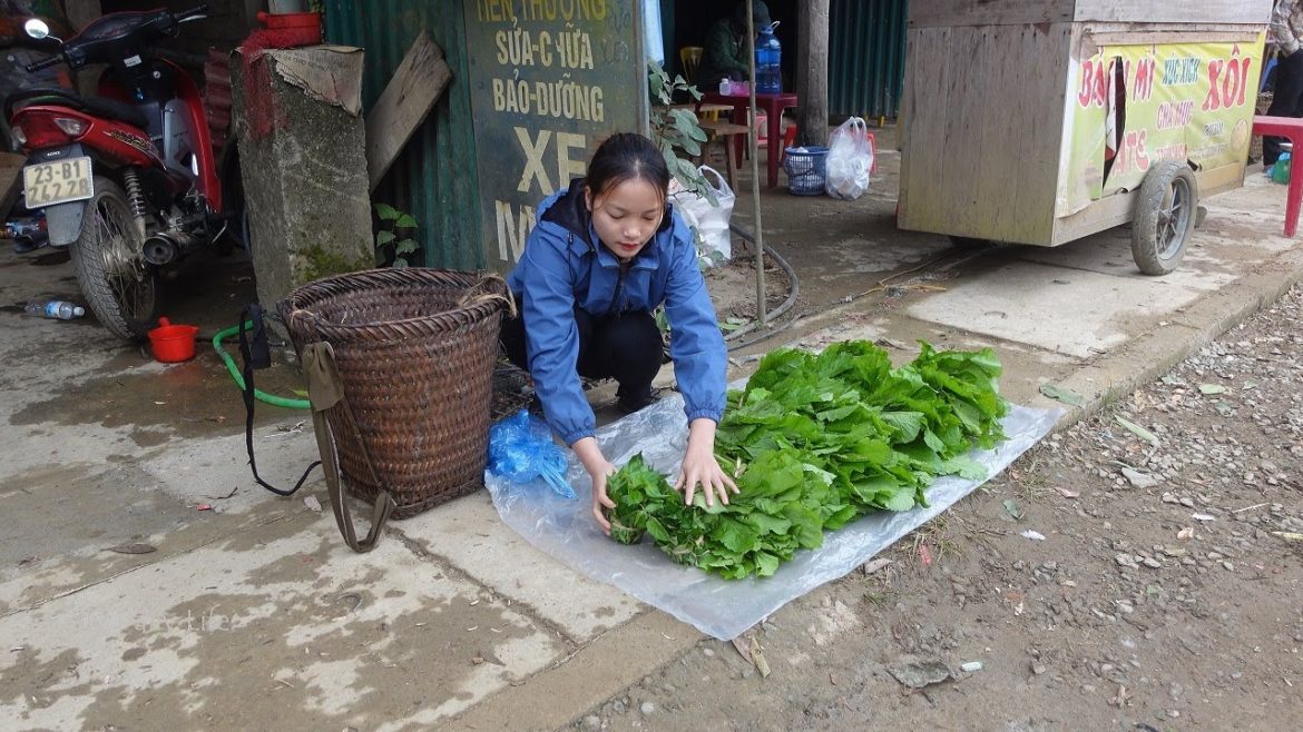 Make money every day from the mustard vegetable garden. Live with nature, My Daily Life Ep. 128