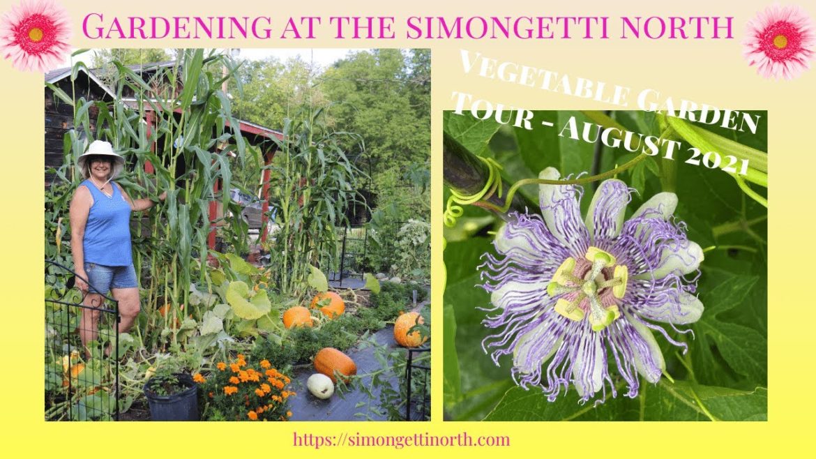 Vegetable Garden Tour - August 2021 🥒🍠🌽 🍅  // Gardening at the Simongetti North