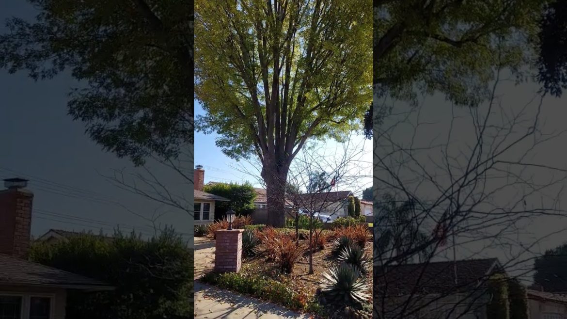 My personal climate change monitor!