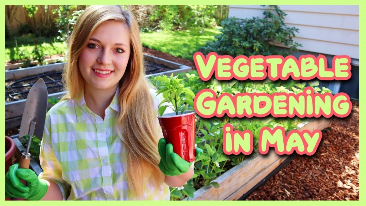 VEGETABLE GARDENING IN MAY | Garden With Me | Spring 2021