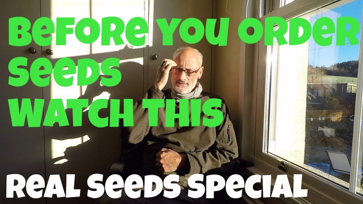 Before You Order Seeds Watch This | Allotments For Fun and Food