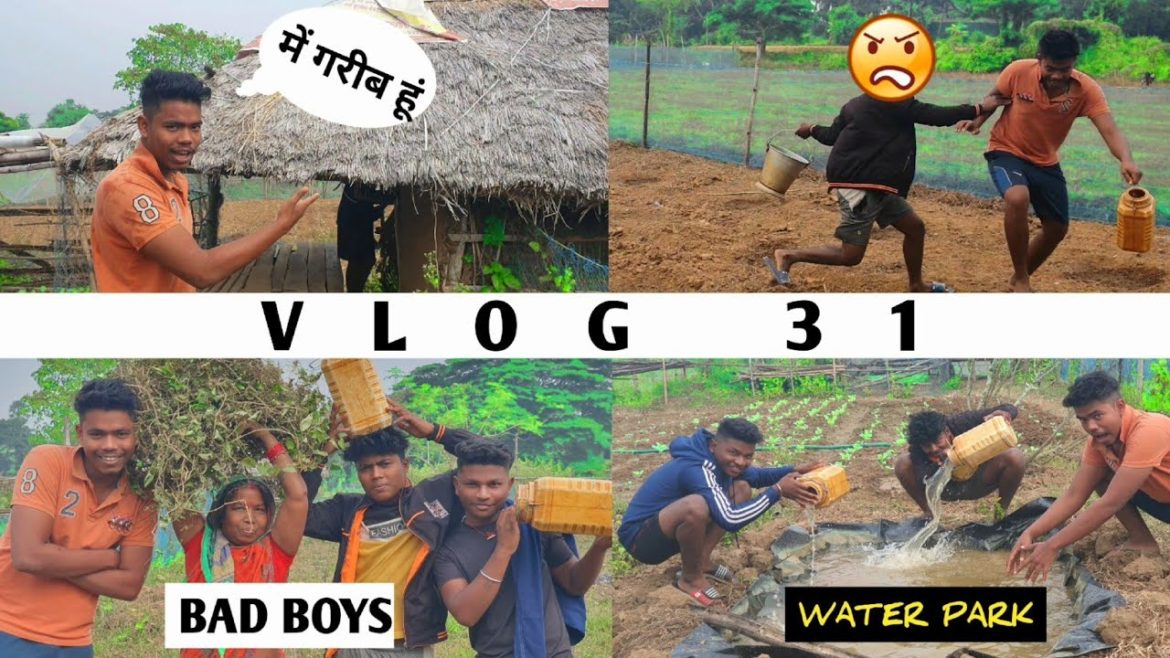 gardening | garden | vegetable farming at home| indoor garden|raised garden |house plants | VLOG 31