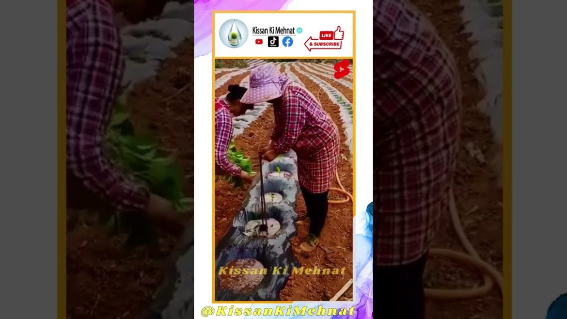 Creative Farming Tools, Agriculture  Tools, Gardening Tools, Amazing Farming Tools.