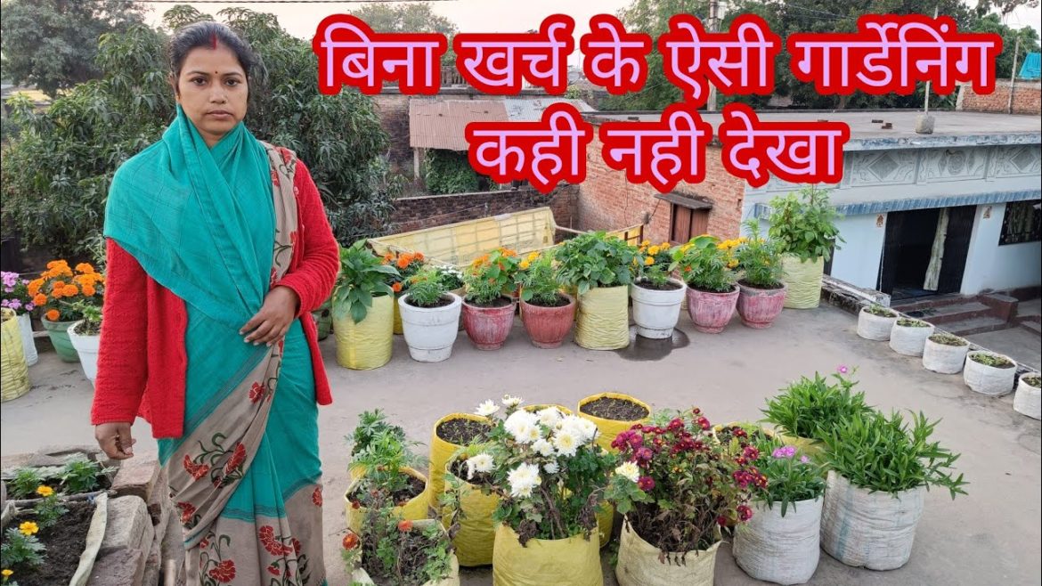 Zero budget gardening Zero budget gardening