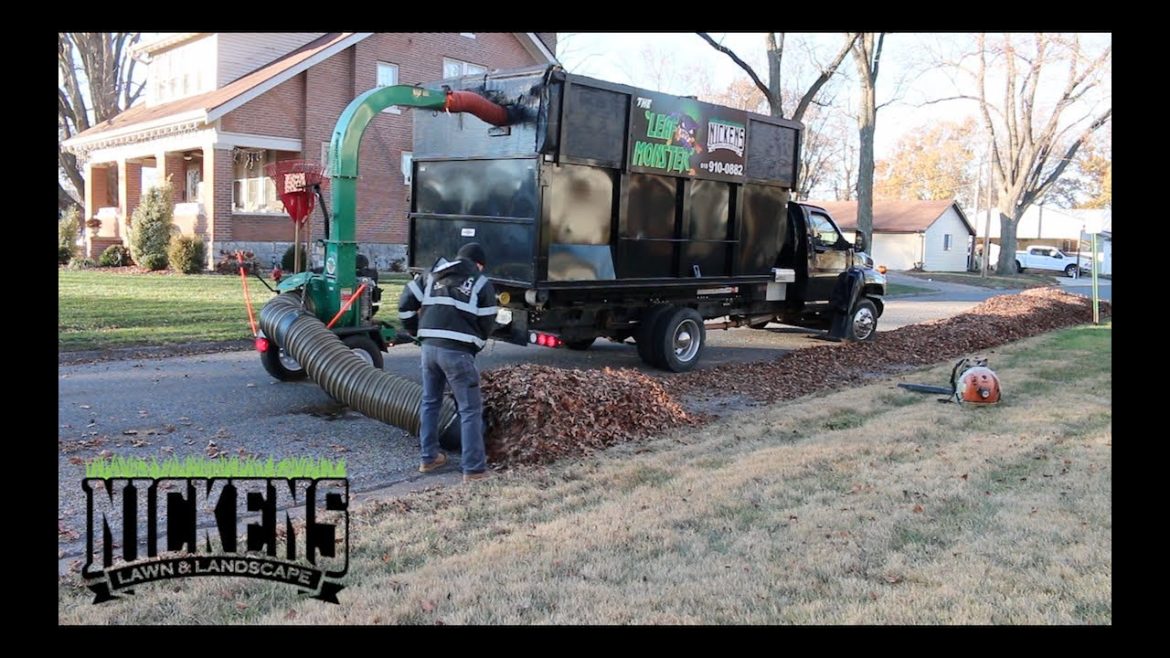 Fall Clean Ups, Scag Windstorm In ACTION Fall Clean Ups, Scag Windstorm In ACTION