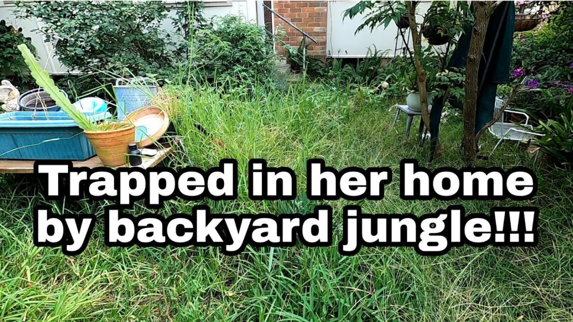 Jungle backyard rescued! 3 videos in 1! Mowing Tall grass