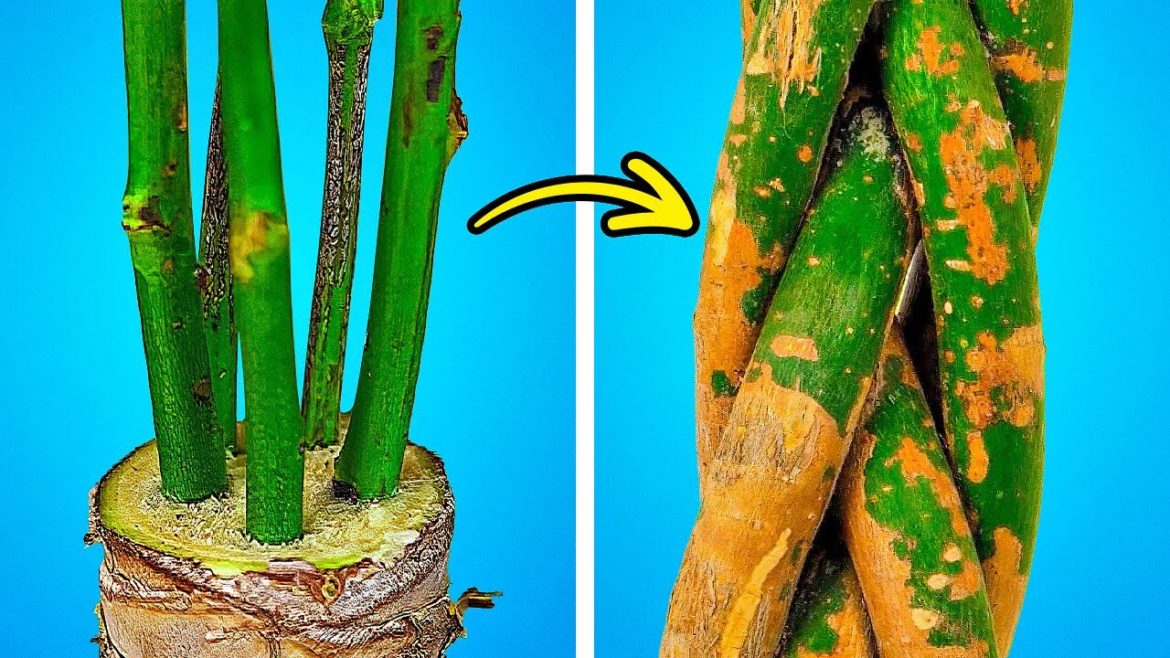 Incredible Gardening Hacks And Growing Tips For Plant Lovers Incredible Gardening Hacks And Growing Tips For Plant Lovers