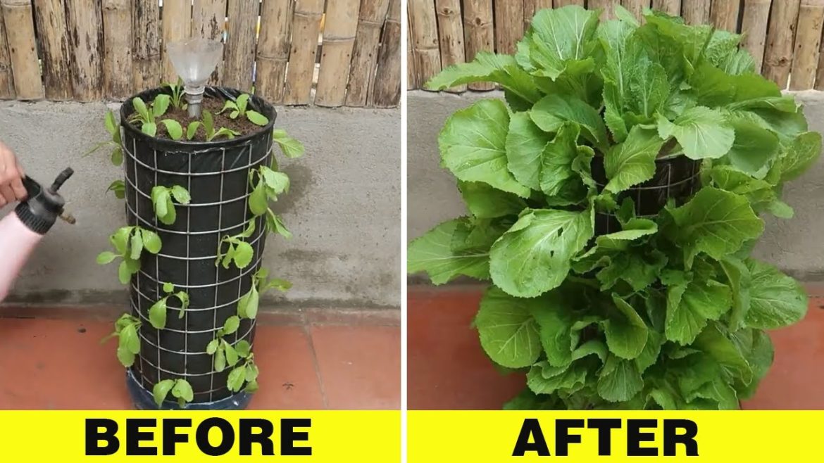 How To Make Vertical Vegetable Tower In Garden / Tower Garden At Home