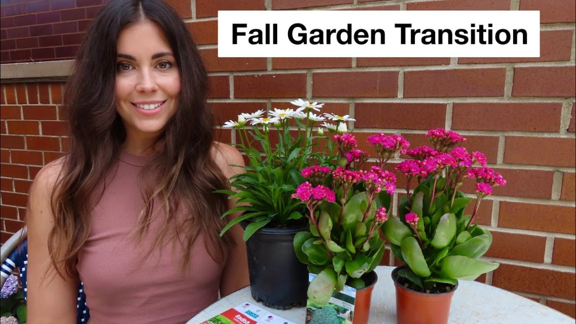 Fall Garden Transition | Container Gardening