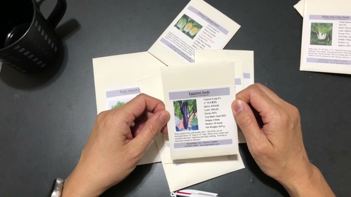 Asian Vegetable Seeds / Life and Garden by Juvy Asian Vegetable Seeds / Life and Garden by Juvy