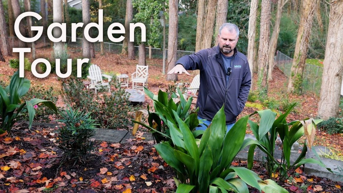 Full Garden Tour – Landscape Rehab Full Garden Tour - Landscape Rehab