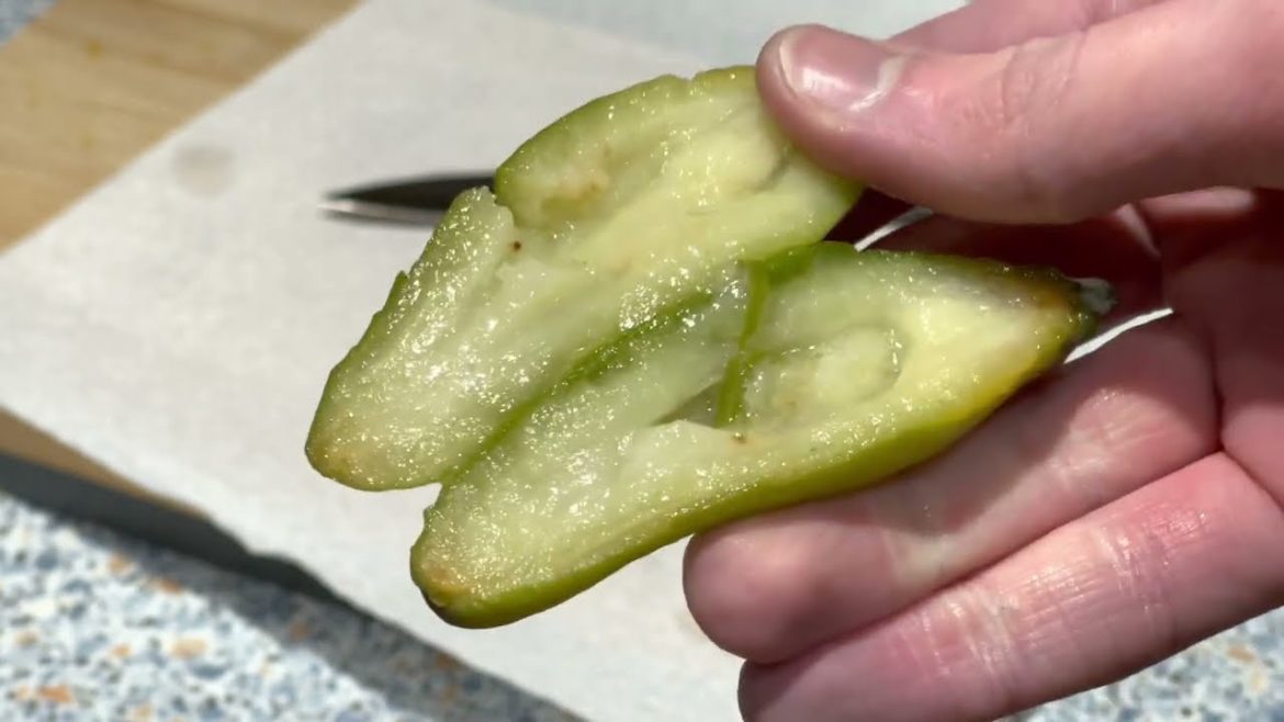 "Unique" Pineapple Guava / Feijoa Fruit Harvest After The Freeze - December 2022