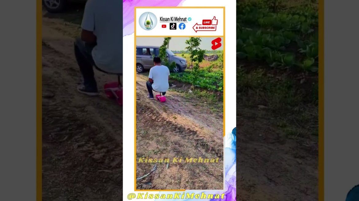 Rolling Garden Cart Wheeled Work Seat  | Gardening Seat  | Rolling Garden Seat | Gardening Tools.