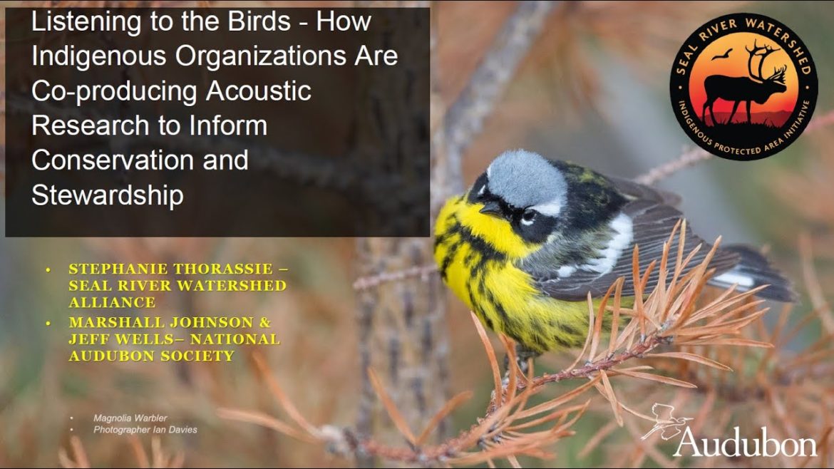 Listening to the Birds: A COP15 Event