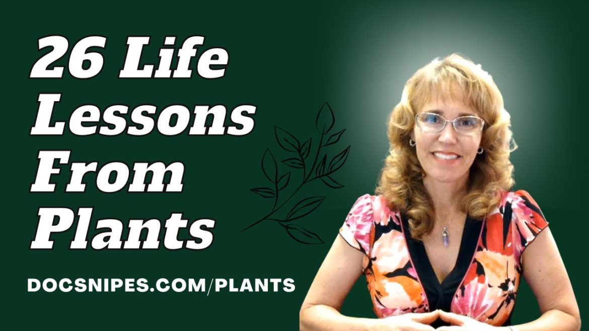 26 Life Lessons from Plants WWPD | Mindfulness Skills 26 Life Lessons from Plants WWPD | Mindfulness Skills