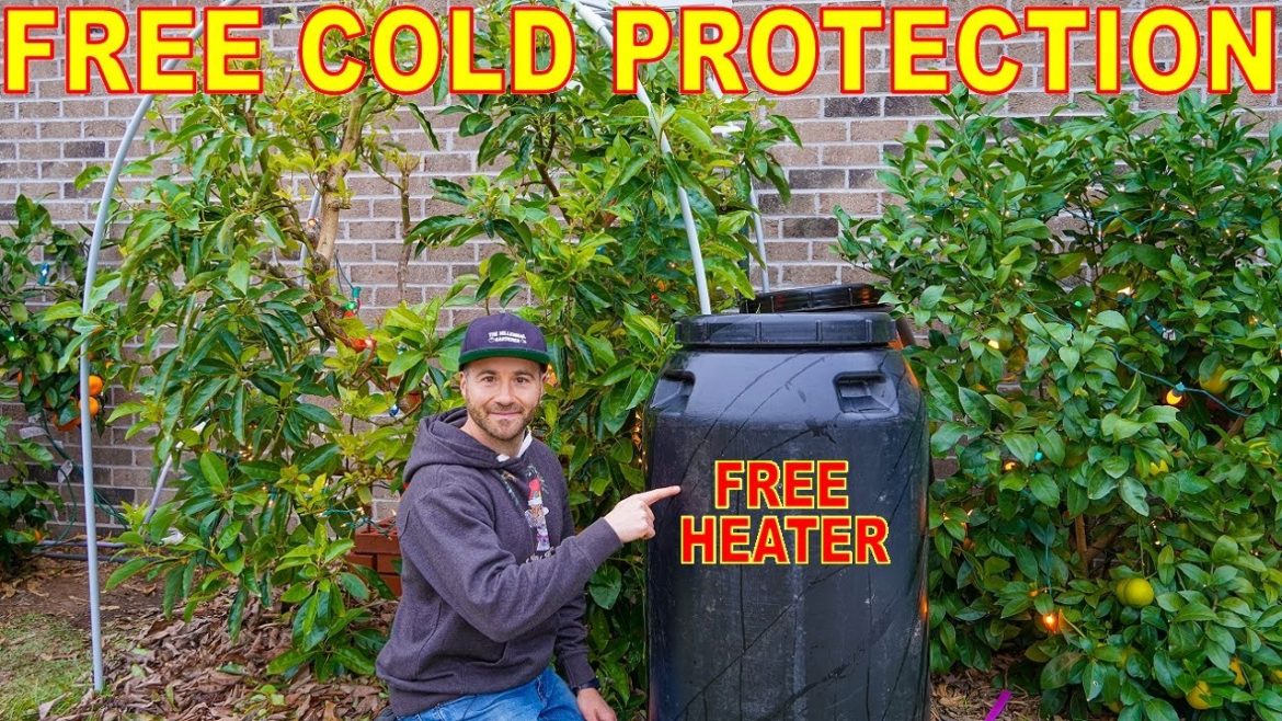 Keep Plants Warm ALL WINTER With FREE Pickle Barrel Heaters Keep Plants Warm ALL WINTER With FREE Pickle Barrel Heaters
